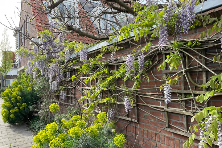 Bekijk foto 37 van Graaf Florisstraat 24