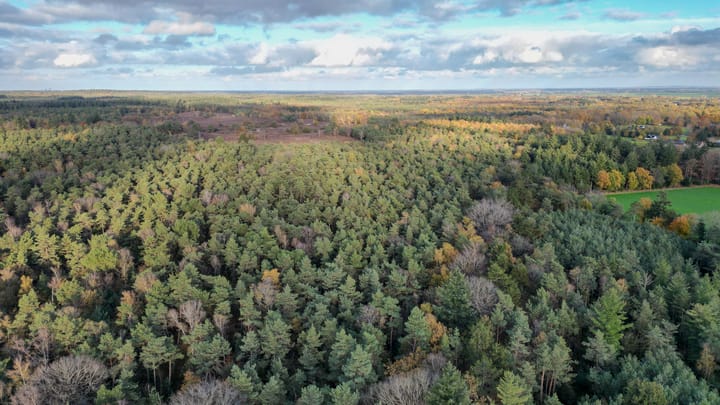 Foto 10 van Kommerseweg