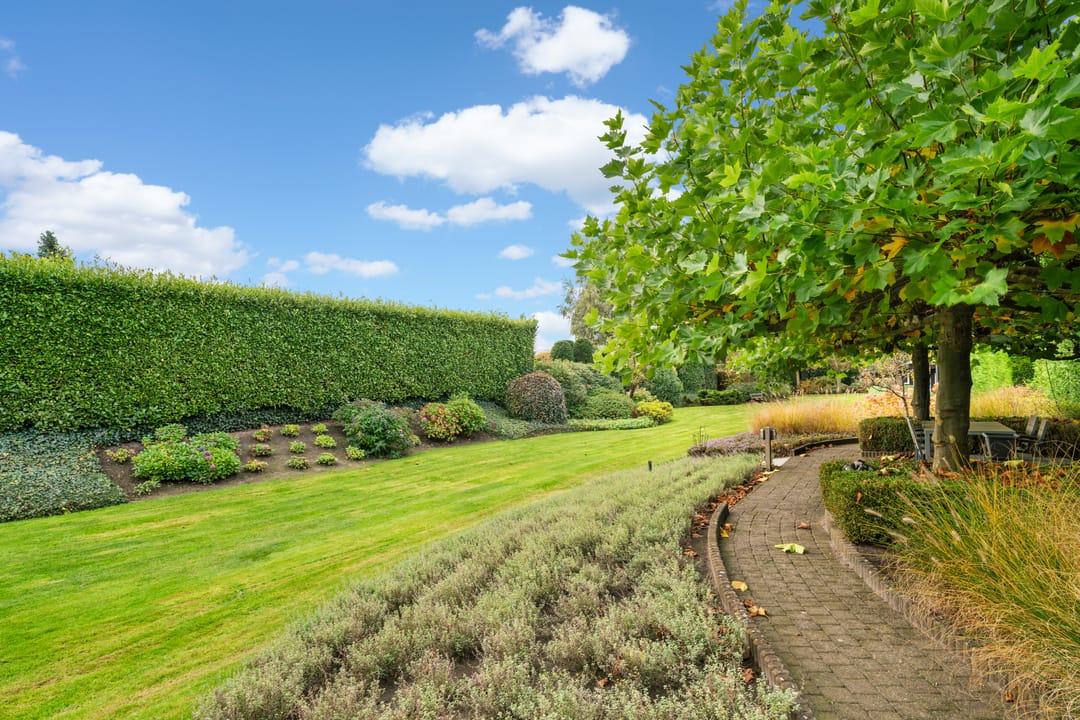 Photo 46 of Achterhoeksestraat 57