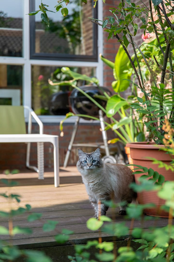 Photo 28 of Prinses Margrietlaan 51-A