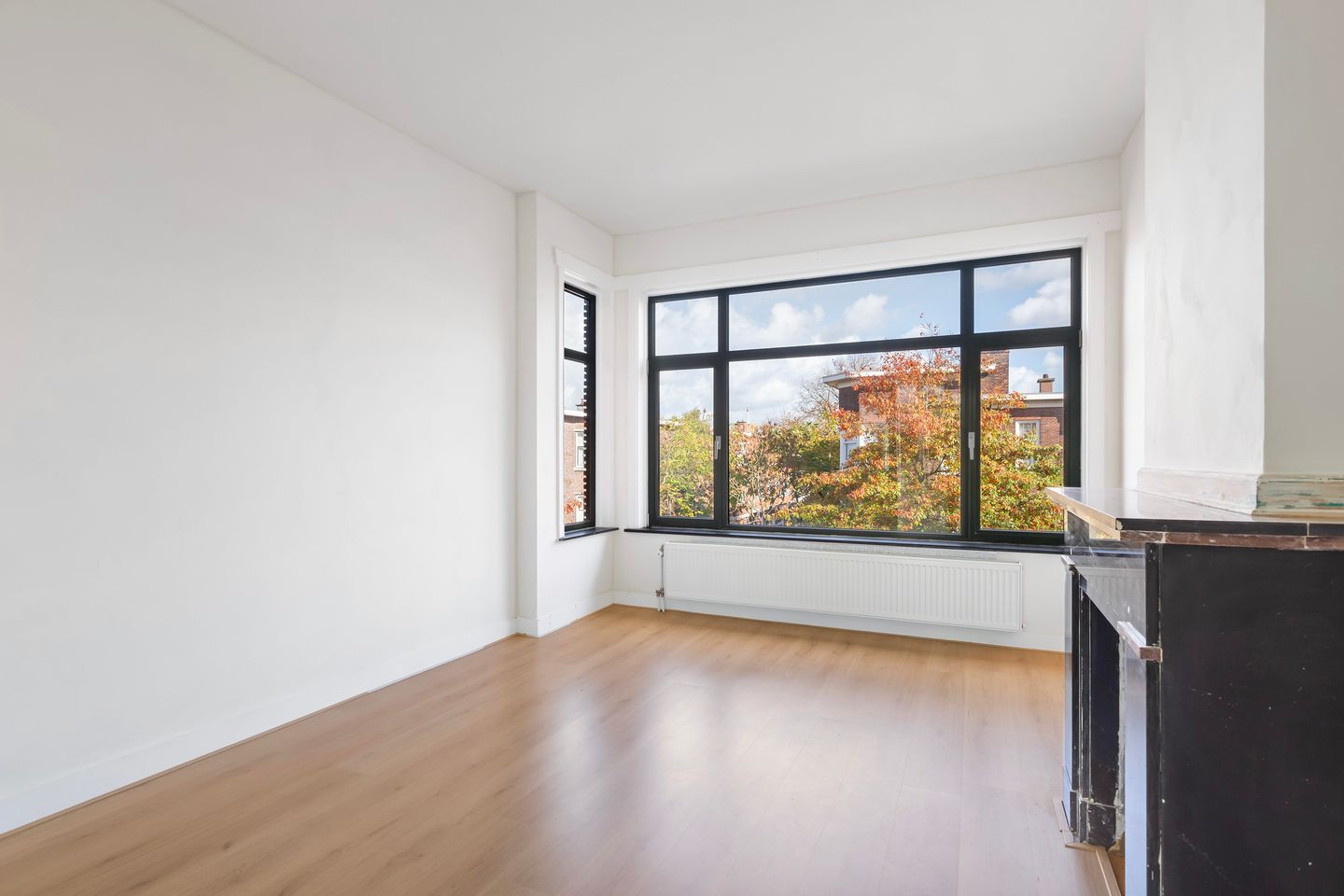 Foto 1 van Heelsumstraat 103