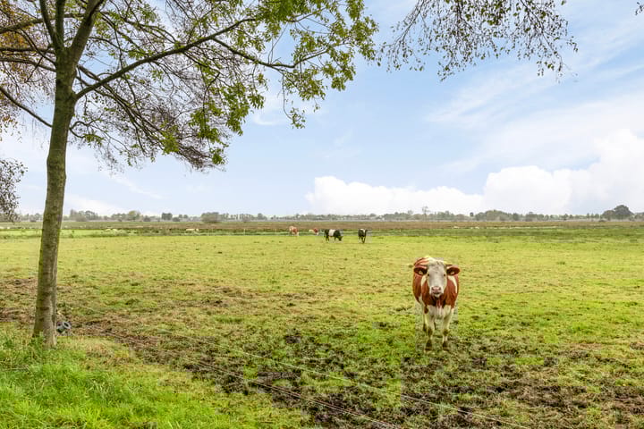 Foto 16 van Kanaalweg 3