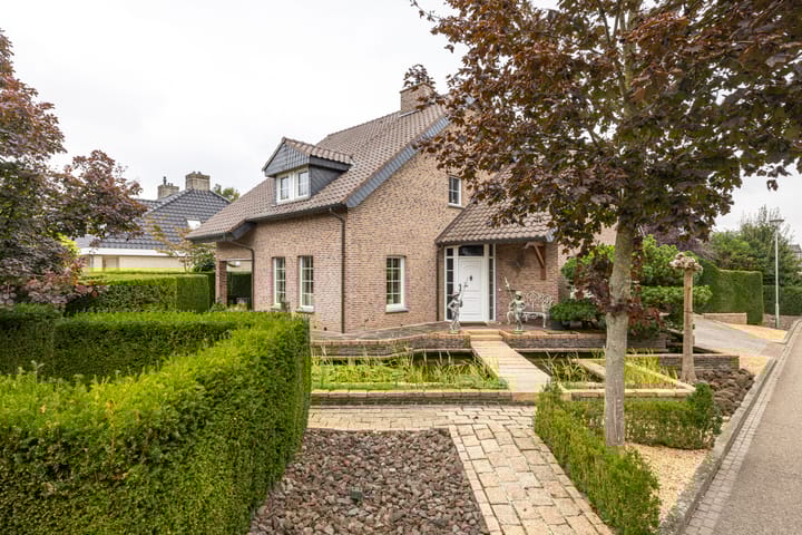 Foto 1 van Leeuwerik 2