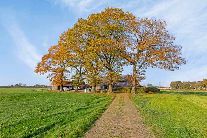 Bekijk foto 2 van Weseperweg 56