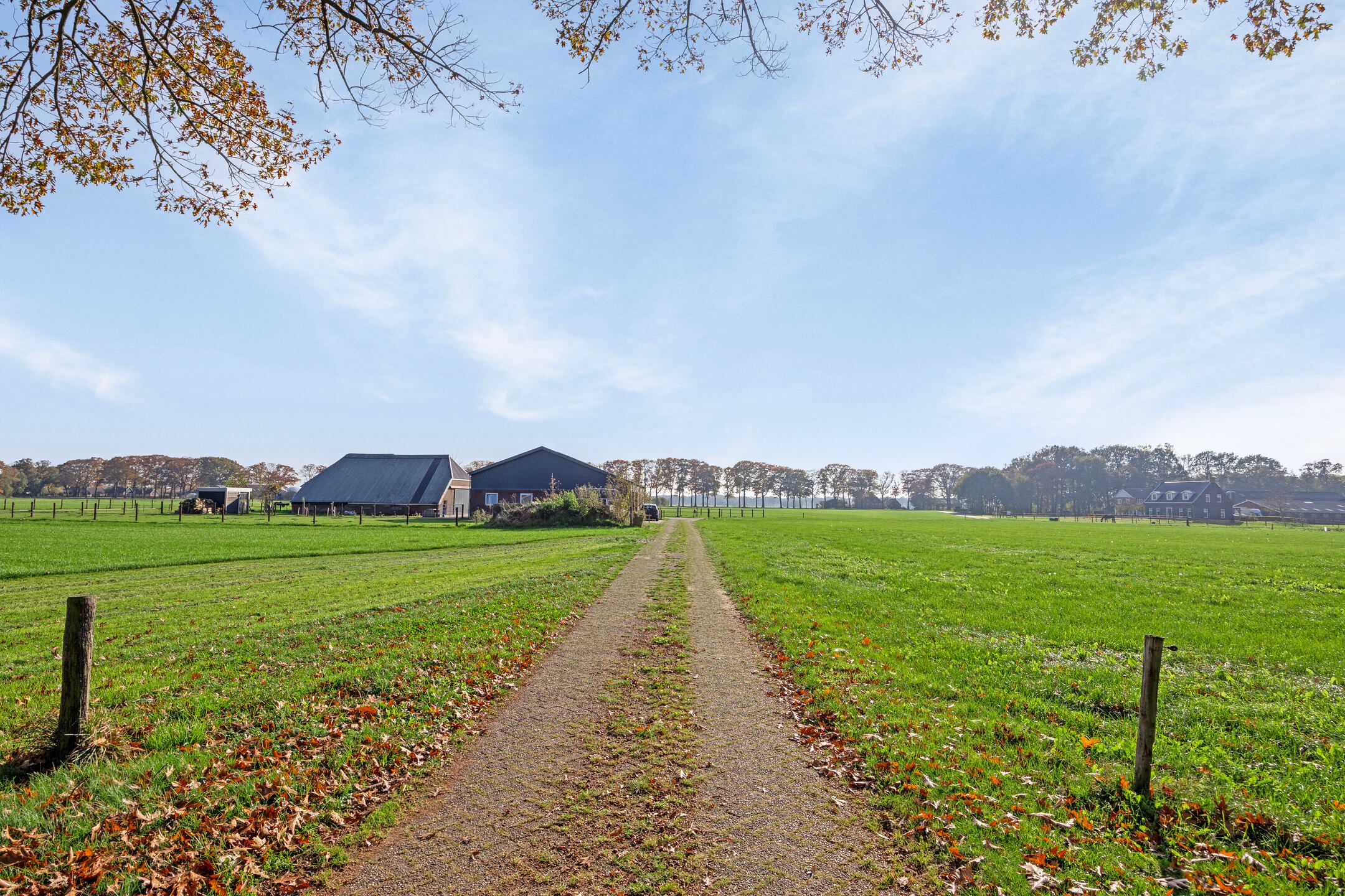 Foto 3 van Weseperweg 56