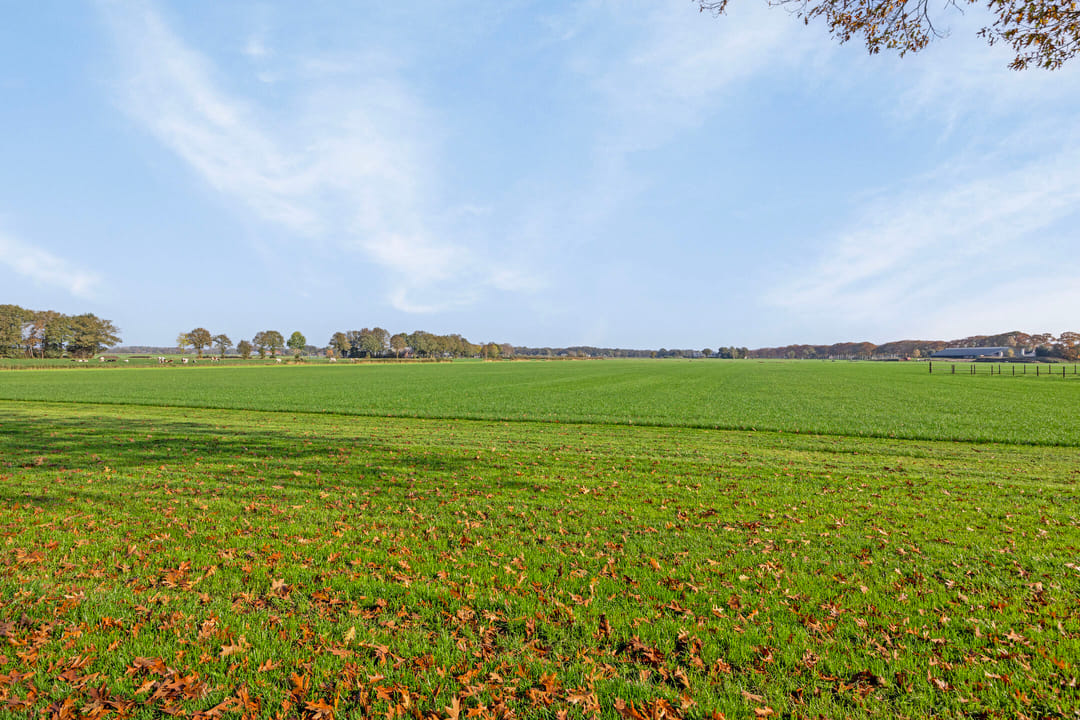 Foto 62 van Weseperweg 56