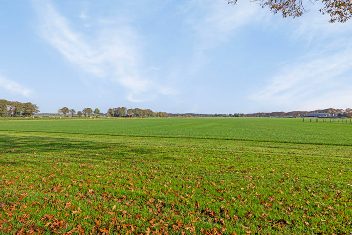 View photo 62 of Weseperweg 56