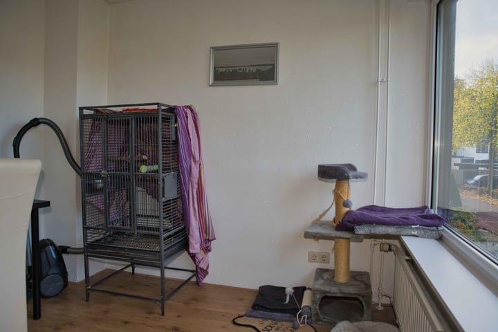 Foto 19 van Pastoor Beenenstraat 23