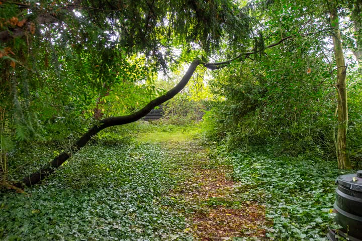 Foto 70 van Utrechtseweg 113