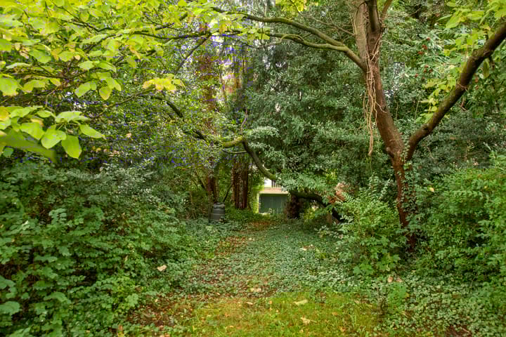 Foto 71 van Utrechtseweg 113