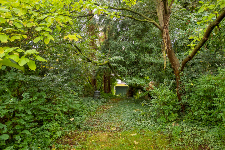 Bekijk foto 71 van Utrechtseweg 113