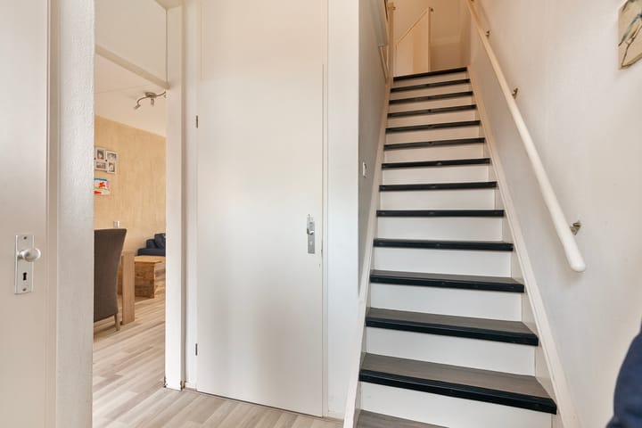 Foto 14 van Elleboog 4