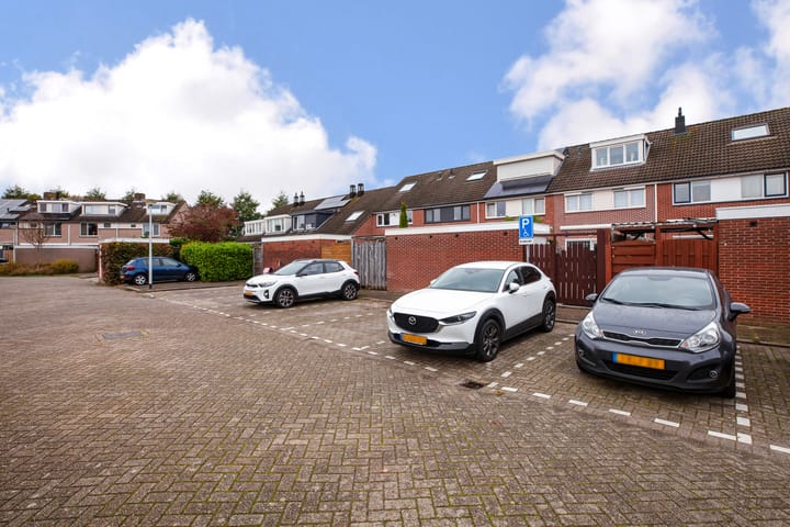 Foto 29 van Dierenriem 112