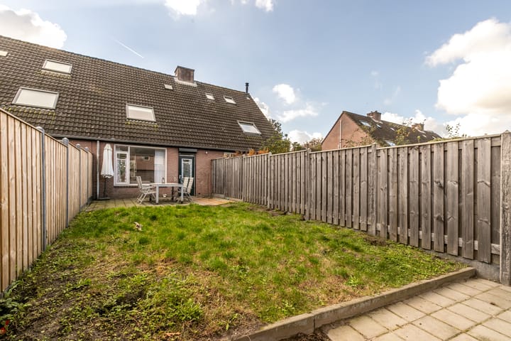 Foto 2 van Vogelkers 14