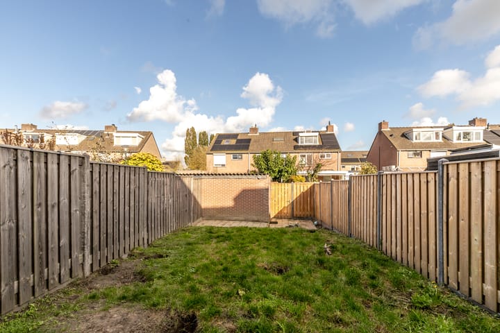 Foto 21 van Vogelkers 14