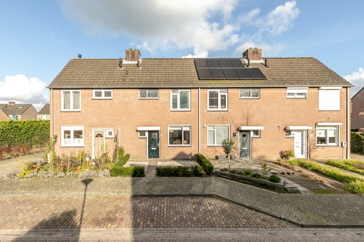 Foto 23 van Vogelkers 14