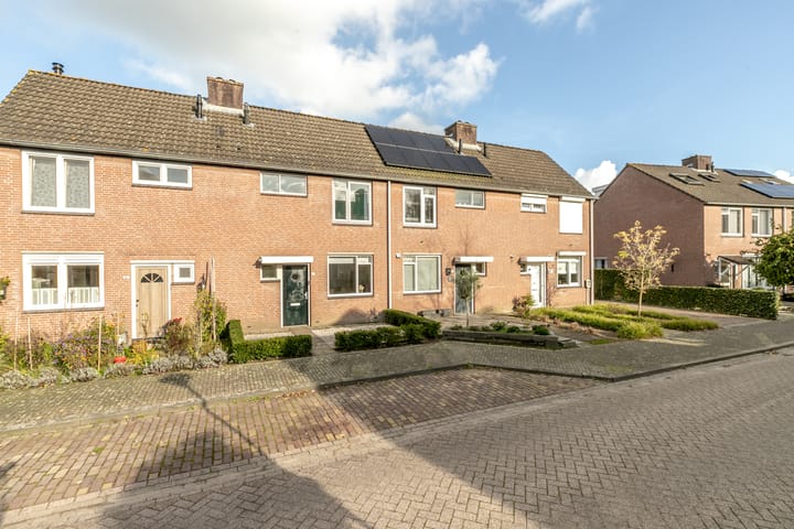 Foto 25 van Vogelkers 14