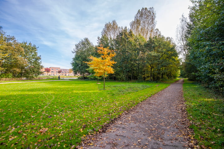 Foto 51 van Noordkriek 11