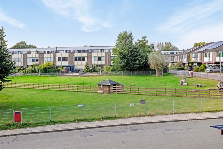 Foto 2 van Het Zwanevlot 278