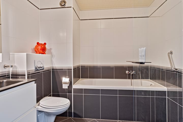 Foto 4 van Het Zwanevlot 278