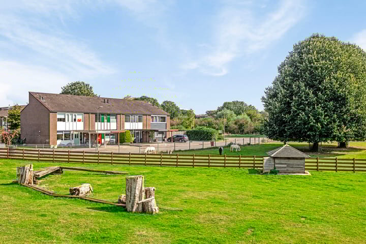 Foto 6 van Het Zwanevlot 278