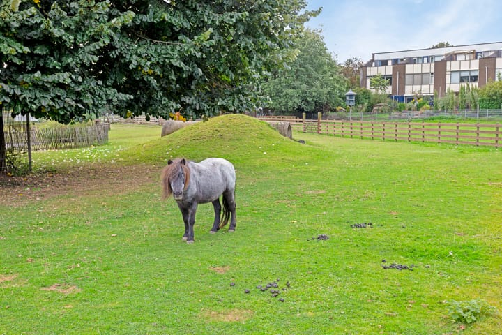 Foto 38 van Het Zwanevlot 278