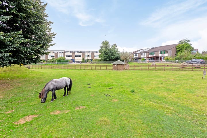 Foto 39 van Het Zwanevlot 278