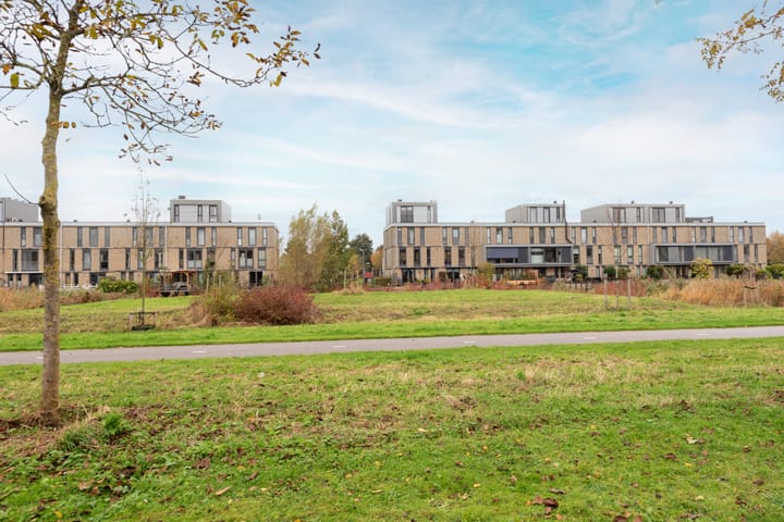 Foto 21 van Biesheuvelstraat 85