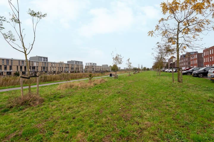 Foto 22 van Biesheuvelstraat 85