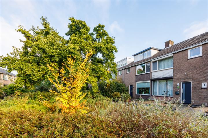 Bekijk foto 36 van Lierstraat 18