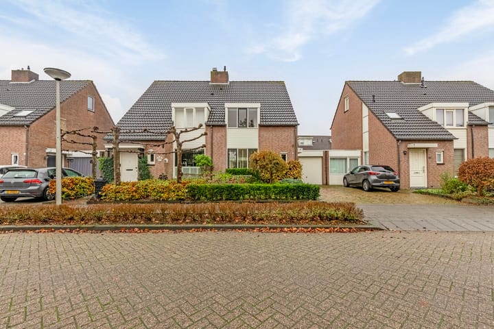 Foto 6 van Houtduif 66