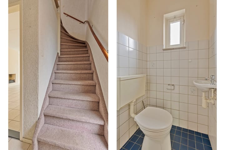 Foto 8 van Houtduif 66