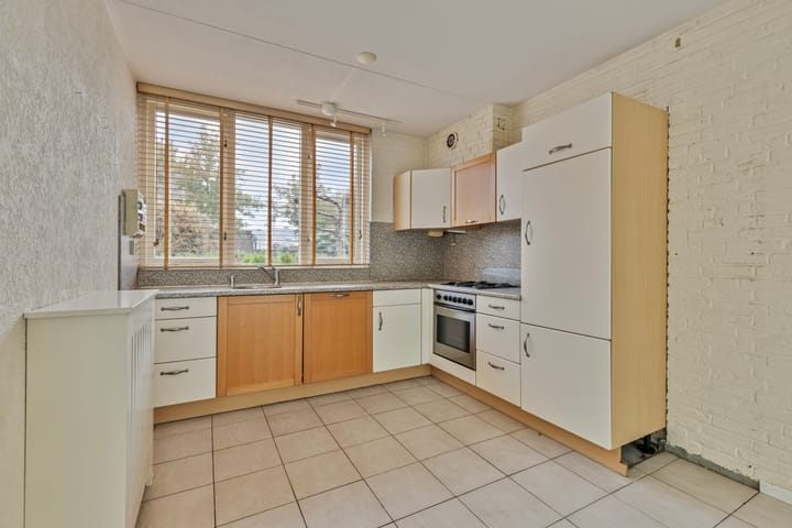 Foto 9 van Houtduif 66