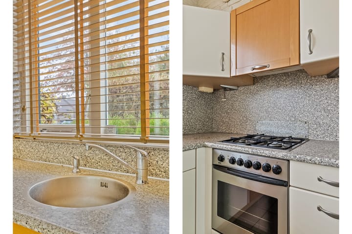 Foto 10 van Houtduif 66