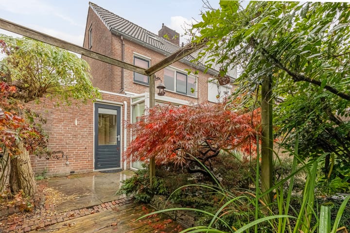 Foto 20 van Houtduif 66