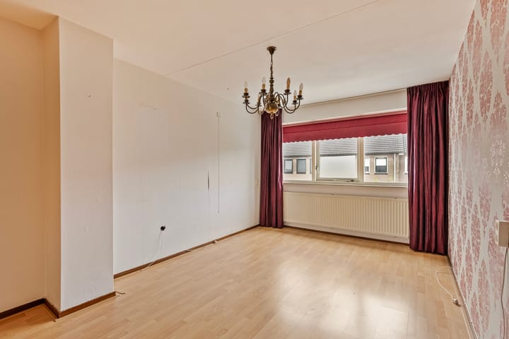 Foto 24 van Houtduif 66