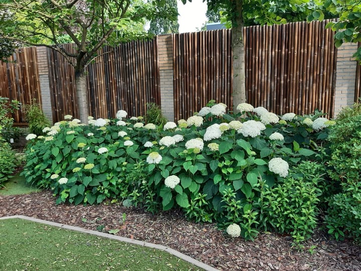 Foto 37 van Statenlaan 8