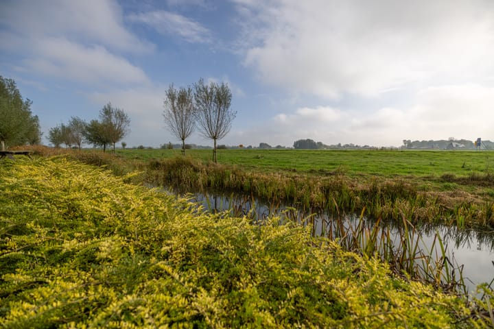 Foto 50 van Túnmelt 16