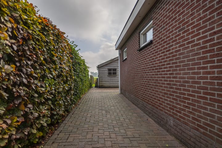 Foto 55 van Túnmelt 16