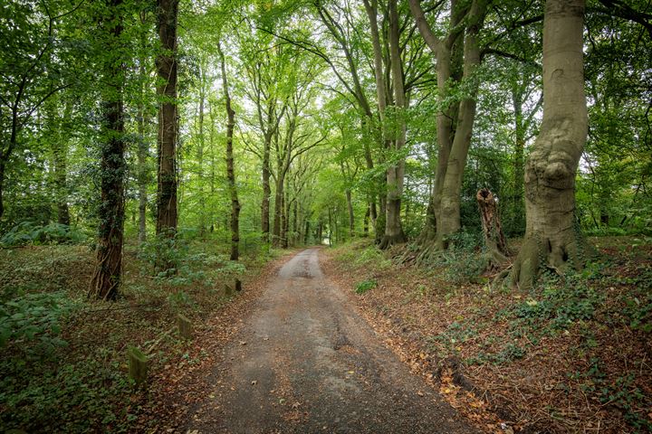 Bekijk foto 43 van Sprielderweg 206