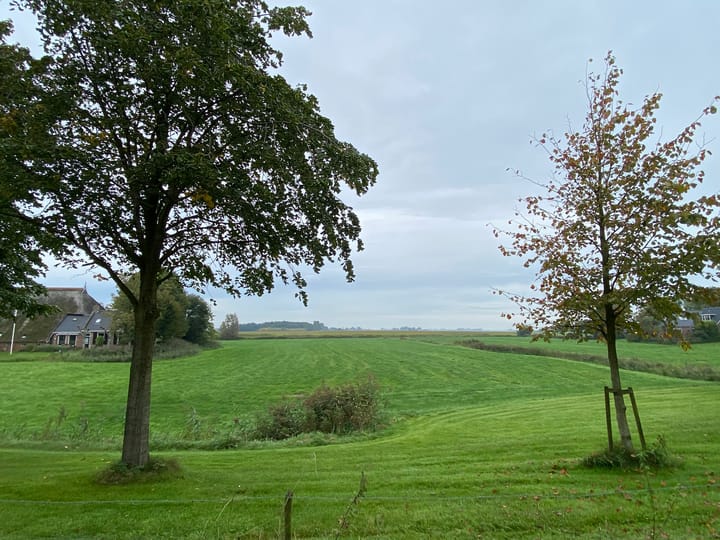 Foto 11 van Greate Buorren 10