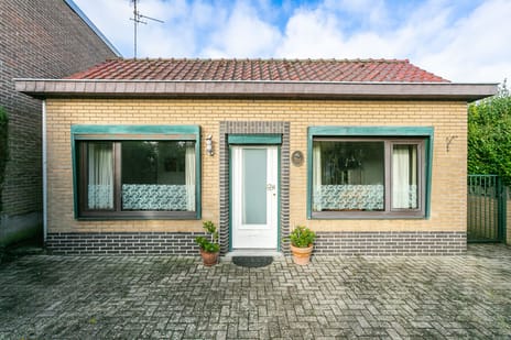 undefined main image