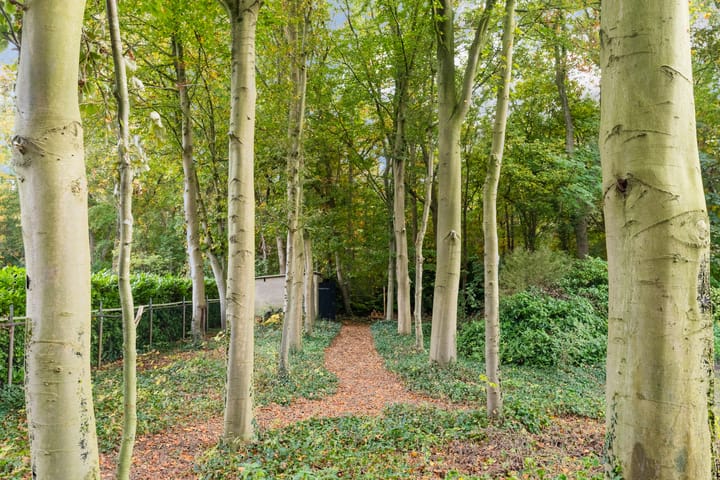 Foto 64 van Spoorstraat 12