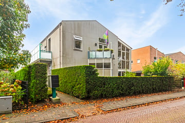 Jan Steenstraat thumbnail