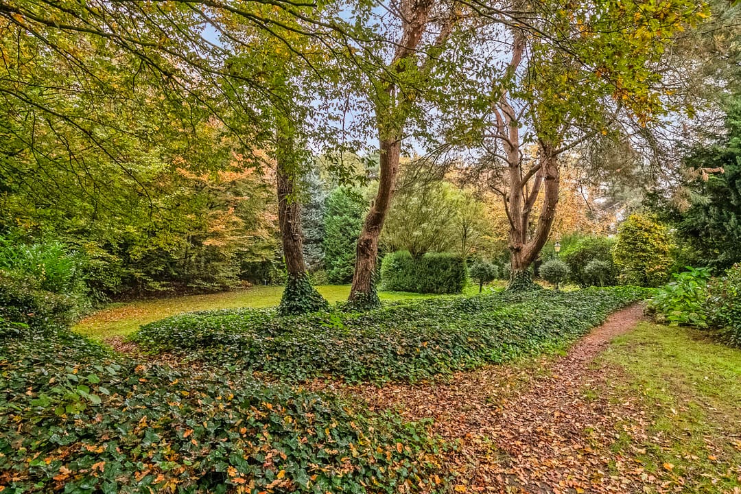 Foto 31 van Stökskesweg 42