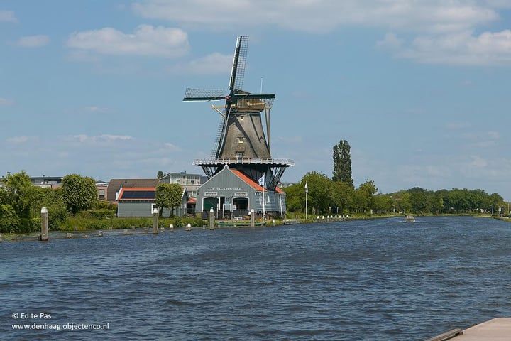 View photo 41 of Spechtlaan 24