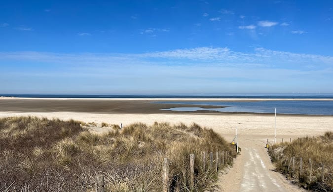 Photo 54 of Parelduiker 9