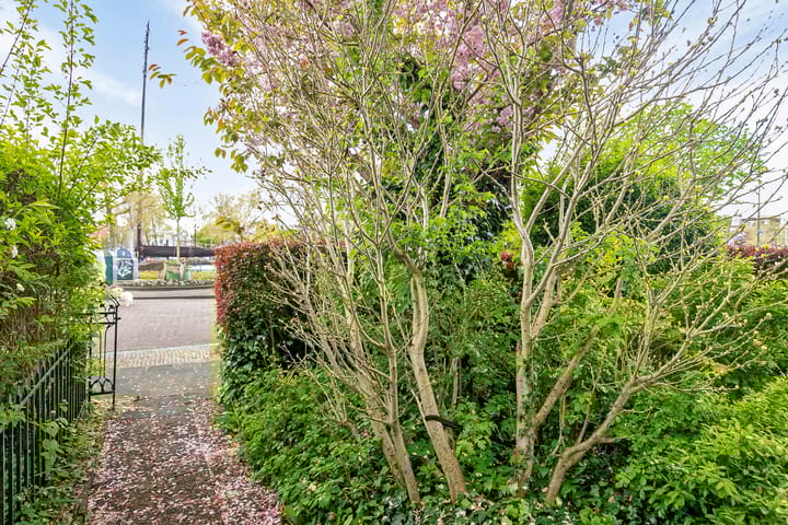 Foto 4 van Vredeman de Vriesstraat 5