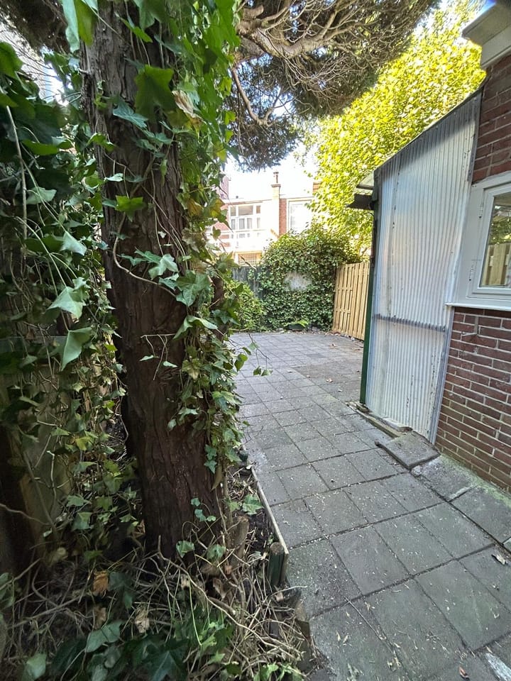 Foto 30 van Vredeman de Vriesstraat 5