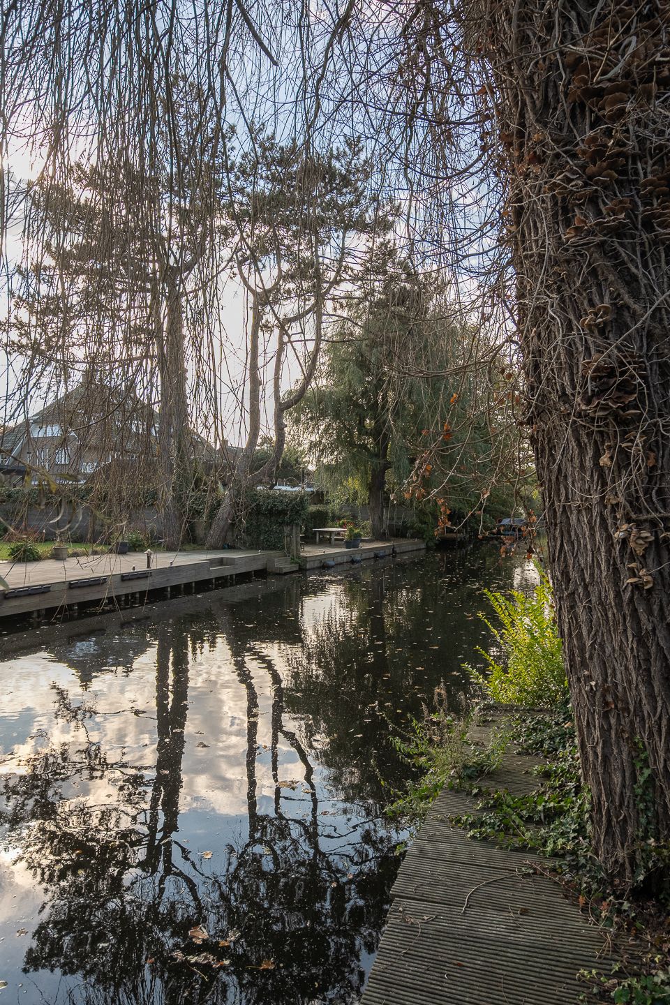 Photo 14 of Prinsenweg 7